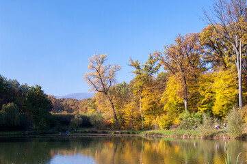 Park in the autumn