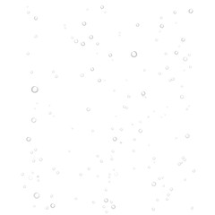 Realistic transparent bubbles in liquid. Vector illustration isolated on white background. Ready for your design. EPS10.	