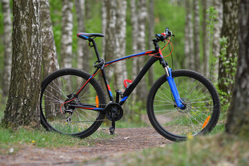 Fototapeta na wymiar BMX bicycle in the vibrant spring forest with birches. Low DOF.