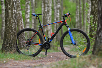 Fototapeta premium BMX bicycle in the vibrant spring forest with birches. Low DOF.