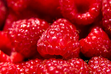 fresh red raspberry background, juicy berries