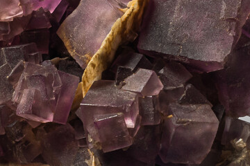 violet sample of cubic fluorite