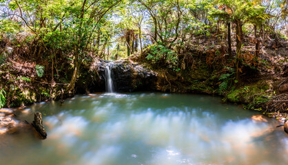 waterfall in the forest