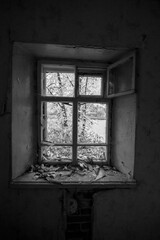 Old house windows