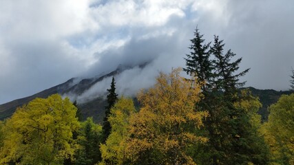 Misty Mountain in Alaska