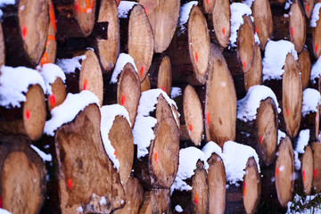 Holzpolter im Wald mit Nadelholz im Schnee als Holzstapel