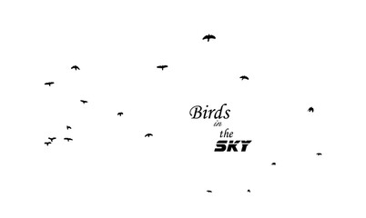A flock of flying birds. Vector illustration