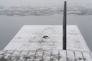 Molo na pokrytym lodem jeziorze we mgle - obrazy, fototapety, plakaty