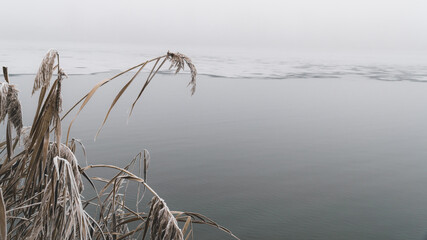 Mglisty poranek nad zamarzniętym jeziorem  © Jakub