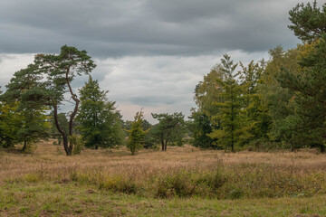 Naturschutzgebiet Schlangenberg am 
Breiniger Berg in Stolberg Rhld.