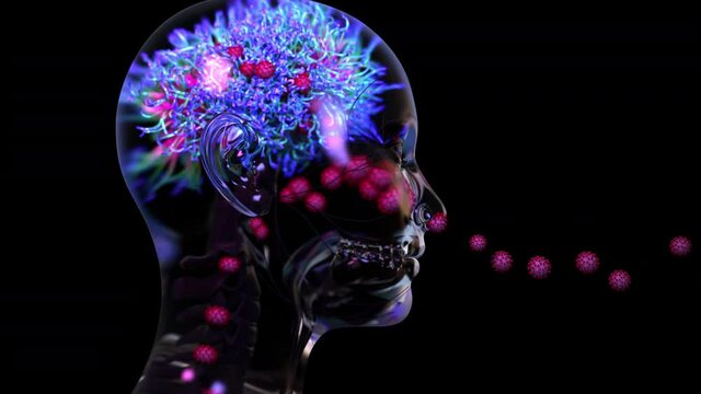 Coronavirus or viruses travel into brain through nose, COVID-19 can damage brain, causing symptoms like&nbsp;delirium&nbsp;and confusion
