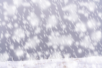 【冬イメージ】厳冬期の雪原