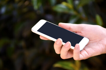 Close up of woman hold white smartphone in her hand with natural blur background.