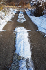 Snowy forest road in nature