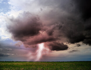 Obraz na płótnie Canvas Picturesque thunderstorm over green field. Lightning striking from dark cloudy sky