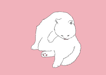 Fototapeta premium 猫