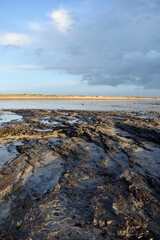 sunset on the low tide beach in normady
