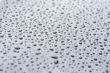 Beads of rain formed on the hood of a car