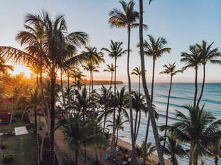 Aerial drone view of the paradise beach with palm trees and blue water of Atlantic ocean at sunset, Las Terrenas, Samana, Dominican Republic