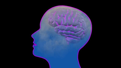 Brain fog clouds. Medium density mist in head. 3d rendering illustration © vrx123