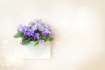 Beautiful viola flowers on pale yellow envelope.
Flat lay, top view, space for text.