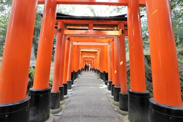 人気スポット　伏見稲荷大社