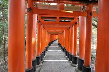 人気スポット　伏見稲荷大社