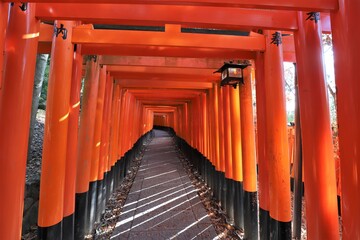 人気スポット　伏見稲荷大社