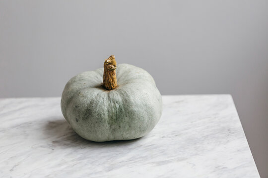 Pumpkin on white marble table