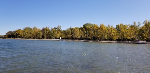 lake in the forest