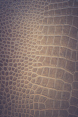 Brown snake skin pattern