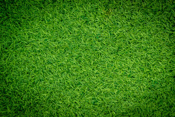 Obraz premium Green artificial grass natural