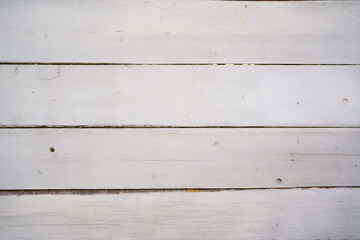 white wooden boards. background with the texture of a tree. 