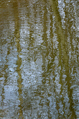 Fototapeta na wymiar Abstract nature background, rippling water with reflections of trees, sky, and clouds in the water 