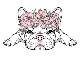Cute french bulldog in flower wreath. Wector illustration