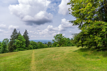 View at Trail in Park in Vancouver, Canada.