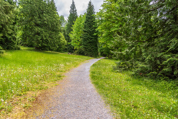 Fototapeta na wymiar View at Trail in Park in Vancouver, Canada.