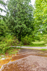 View at Trail in Park in Vancouver, Canada.