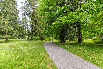 View at Trail in Park in Vancouver, Canada.