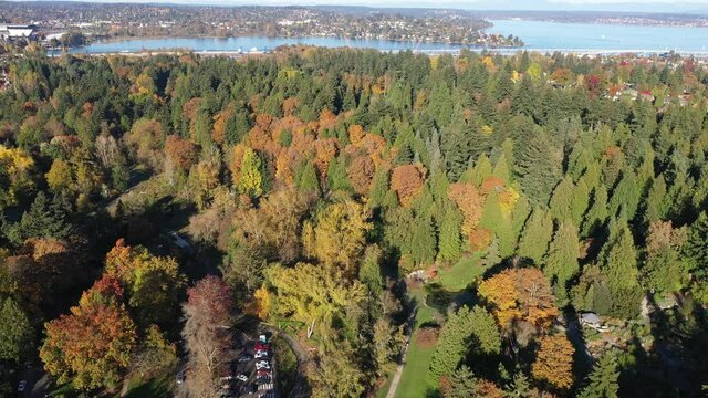 Aerial - drone footage of UW Botanic Gardens, Washington Park Arboretum, Montlake, Broadmoor, Madison Park, Madison Valley, Lake Washington and surrounding suburbs, in King County, Washington