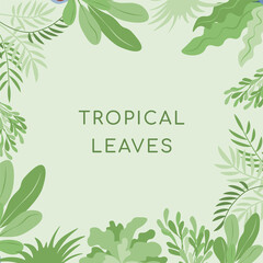 Tropical leaves vector flat banner template with text space. Green leaves of tropical or home plants border on green background. Nature leaves, tropical background template.