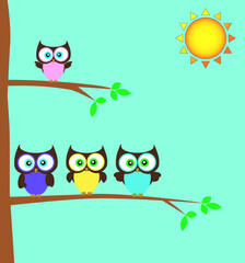 owls on tree branch