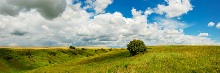 Beautiful summer rural panoramic landscape with green hills and golden wheat fields during sunny july day.