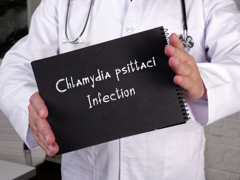 Health Care Concept Meaning Chlamydia Psittaci Infection With Inscription On The Page.