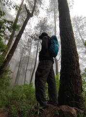 child in the woods