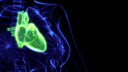 Fototapeta na wymiar human heart troubles x ray image, medicine 3d illustration