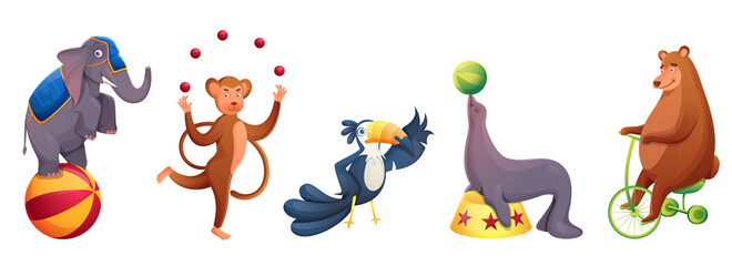 Circus Animals Doing Performance In Various Types On White Background.