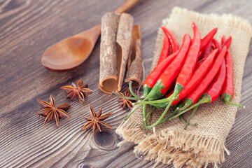 Red pepper and spoon and aniseed