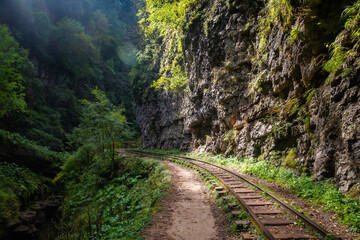 Old narrow gauge railway in mountain region.
