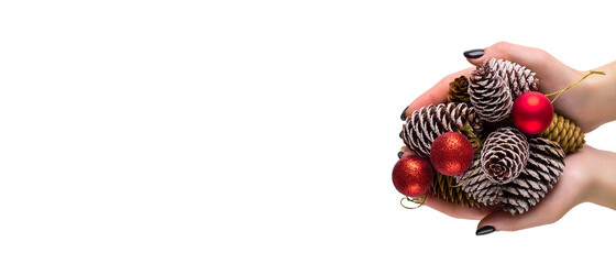 Naklejka premium Female hands holding a many pine cones and red christmas balls. Woman holding pine cone, closeup. Christmas gift with balls and cones. Long wide banner